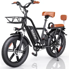 2 Seater Electric Bike for Adults,1500/1000W 30MPH 30-70Miles 48V 15AH Removable Battery Ebike 20" x 4.0 Fat Tire Beach Mountain Commuting Electric Bicycles W/Fork Suspension UL2849