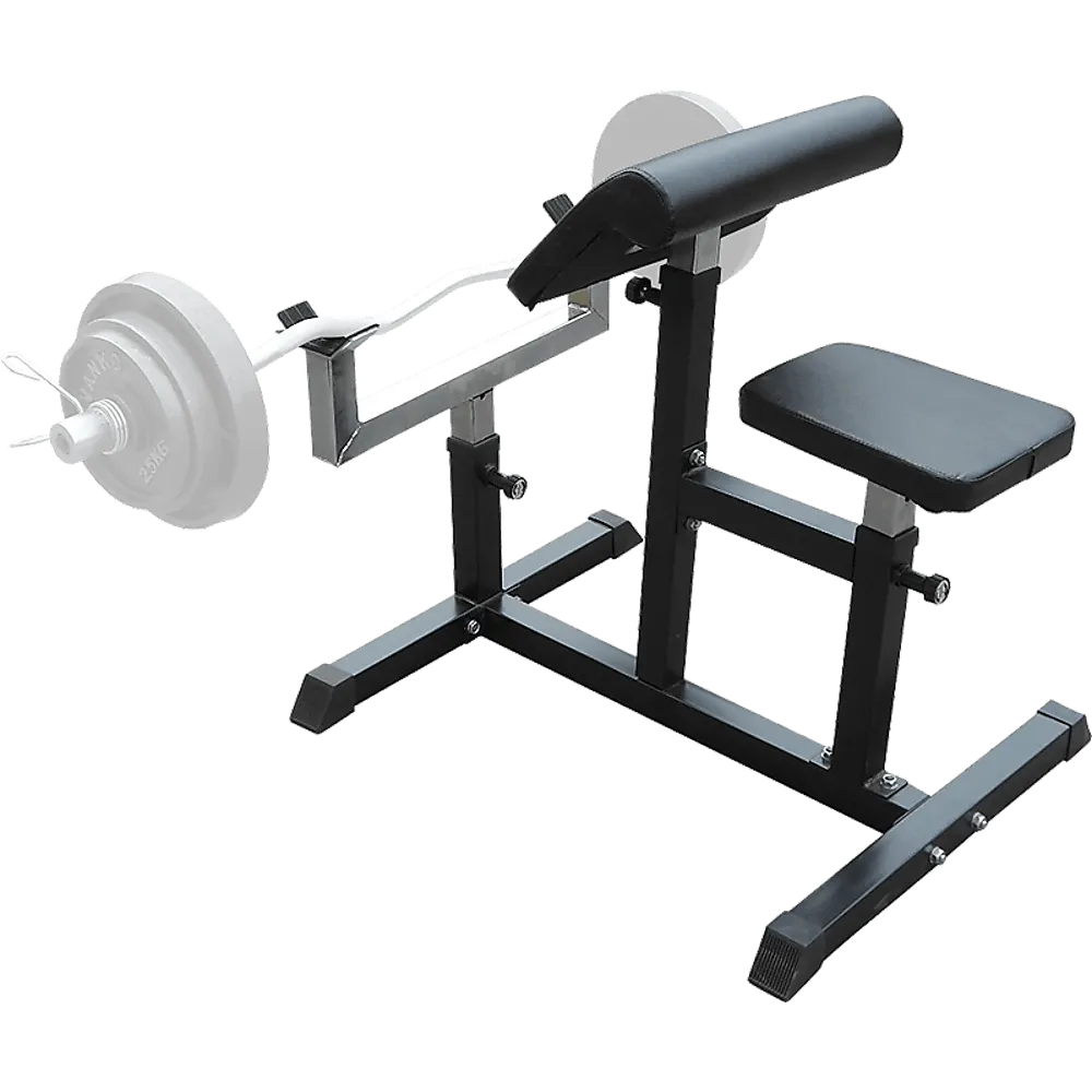 Curl Bench Weights