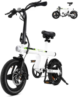 isinwheel ebike