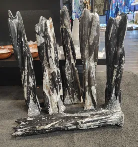 Orthoceras Towers (multi)